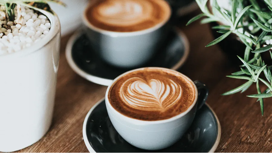 Chai of India Retail and Cafe